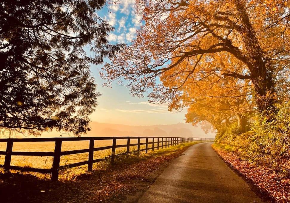 Photo of Others in Graffham