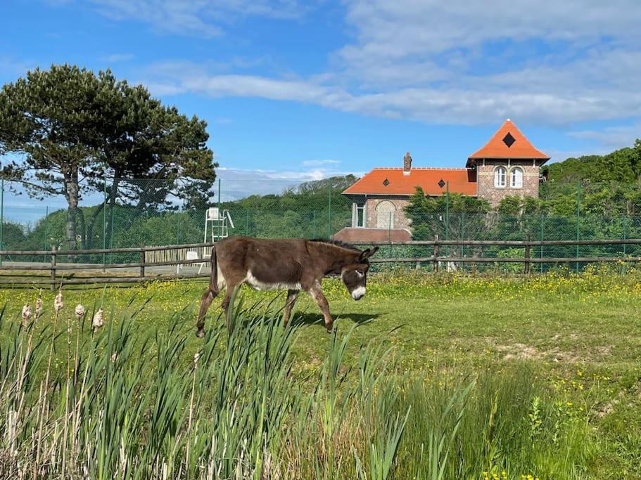 Photo of Others in Varengeville-sur-Mer