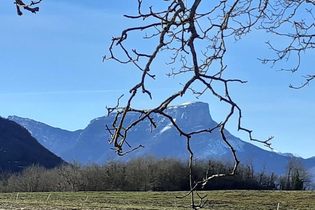 Photo of Others in Puygros