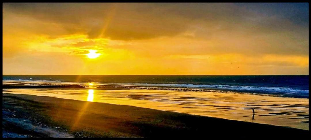 Photo of Others in Blonville-sur-Mer