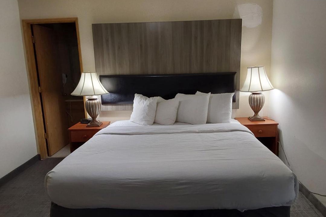 Photo of Others in Puget