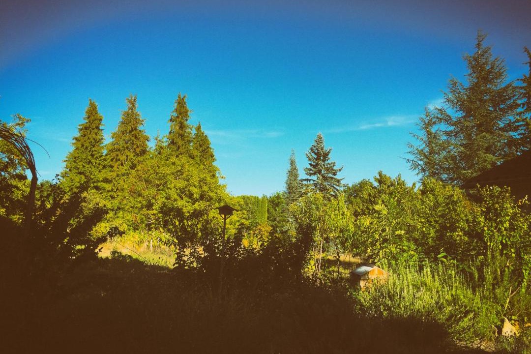 Photo of Others in Allemans