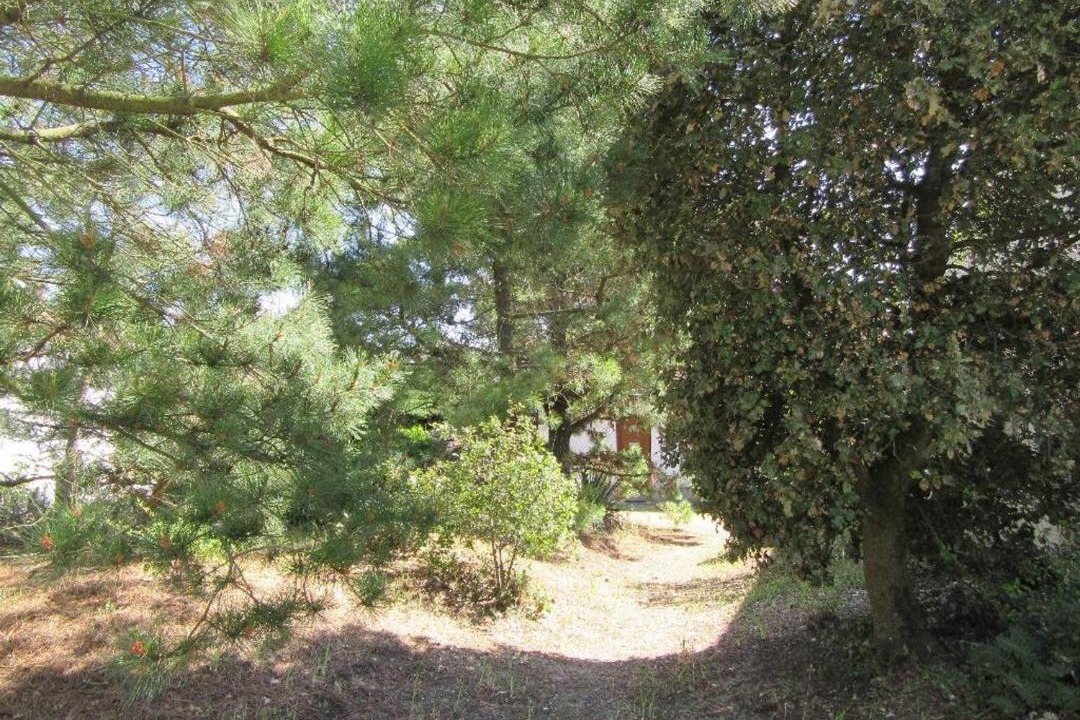 Photo of Others in Saint-Hilaire-de-Riez