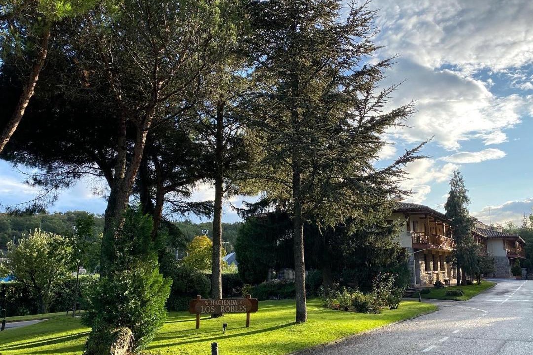 Photo of Others in Navacerrada