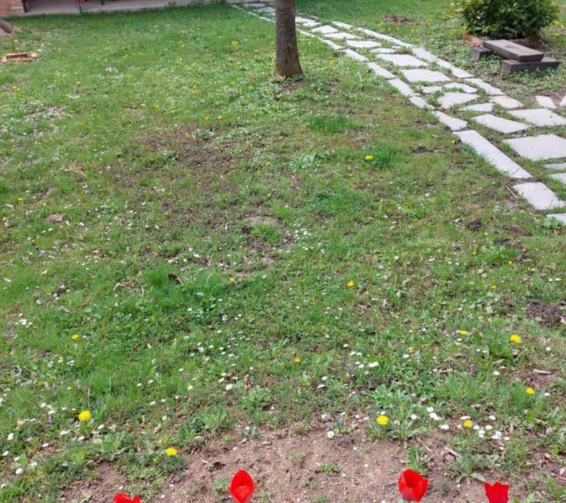 Photo of Outdoor in Petrinja