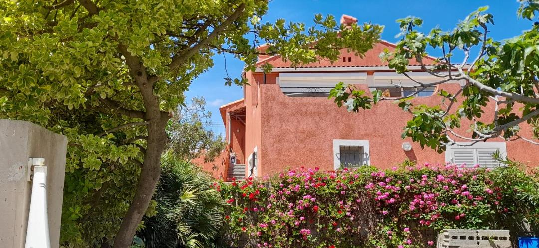 Photo of Others in Macinaggio