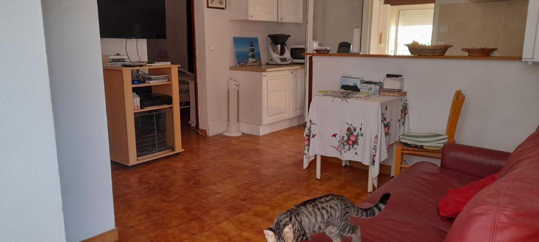 Photo of Others in Macinaggio