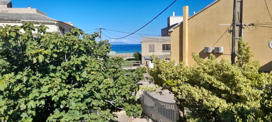 Photo of Others in Macinaggio