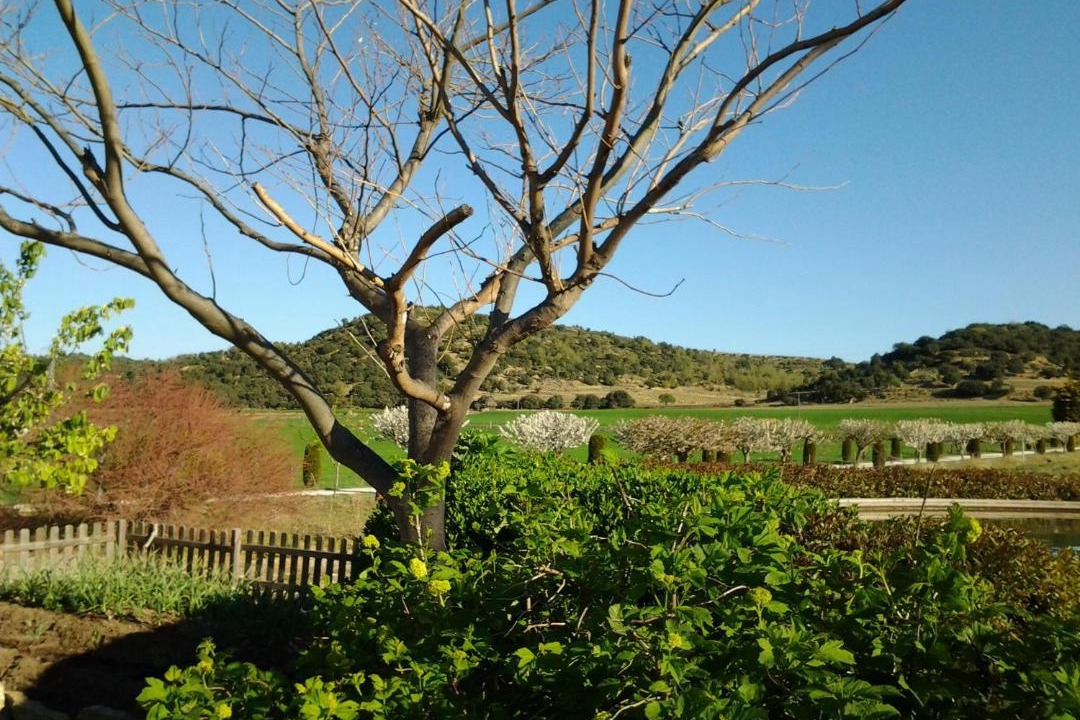 Photo of Others in Morella
