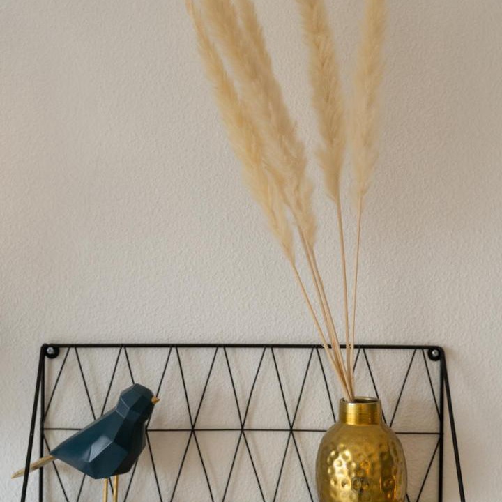 Photo of Others in Onet-le-Chateau