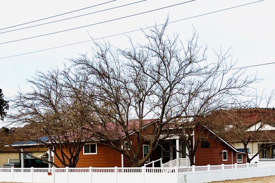 Photo of Buildings in Kanab