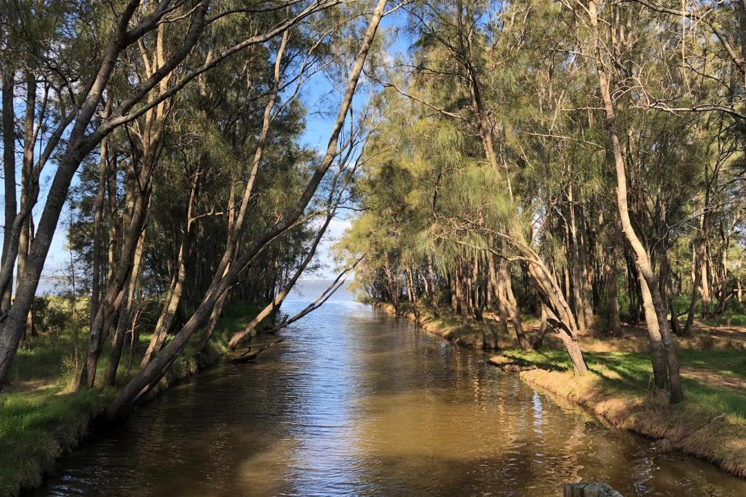 Photo of Outdoor in Berkeley Vale