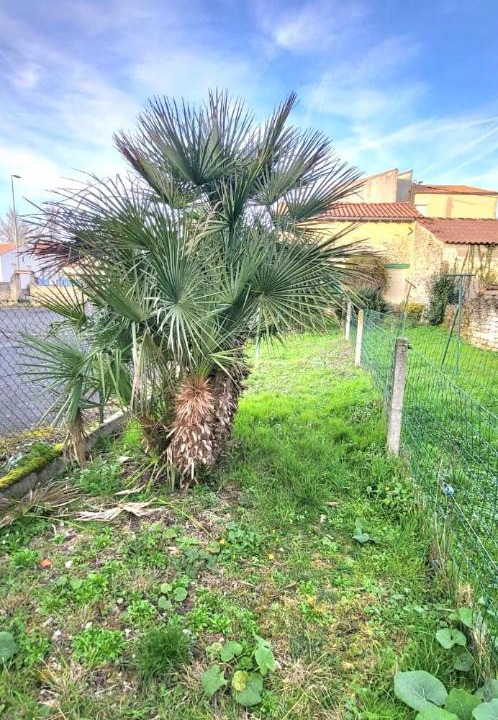 Photo of Outdoor in Jonzac