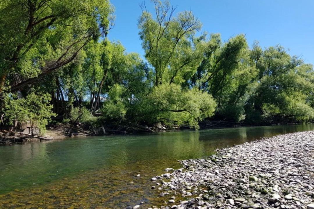 Photo of Outdoor in Alexandra