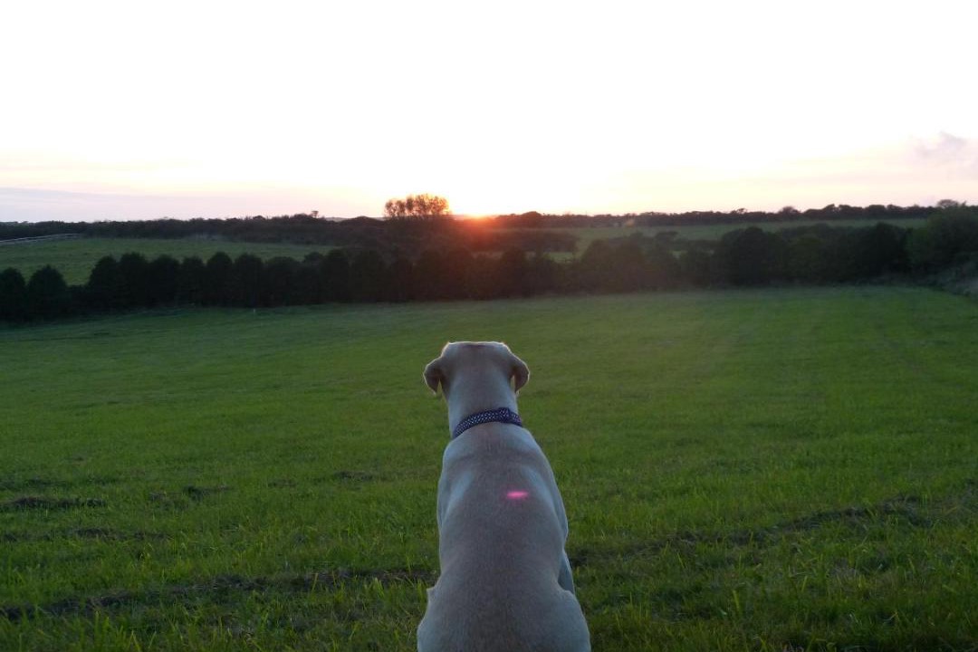 Photo of Others in Helford Passage