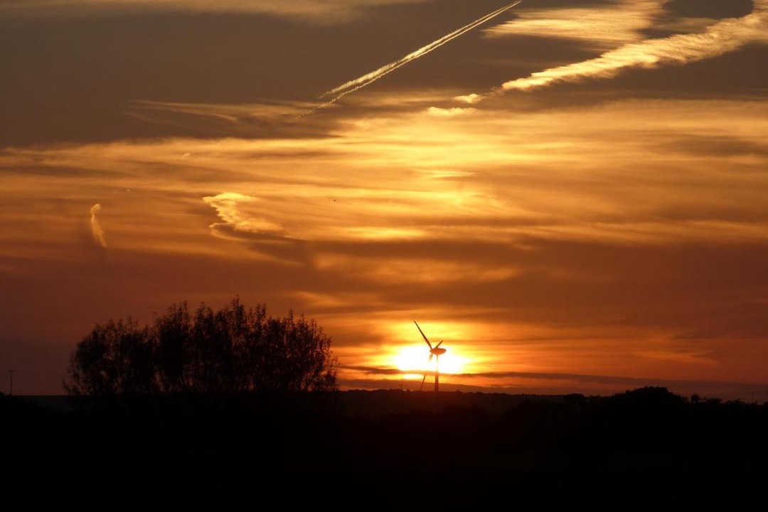 Photo of Others in Helford Passage