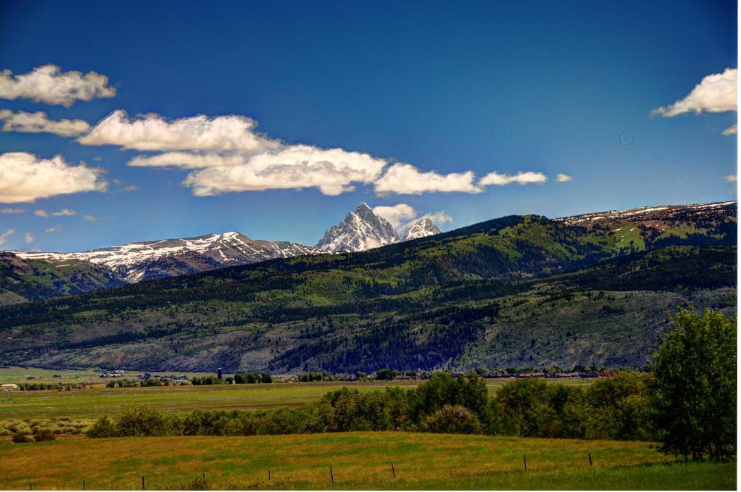 Photo of Others in Victor