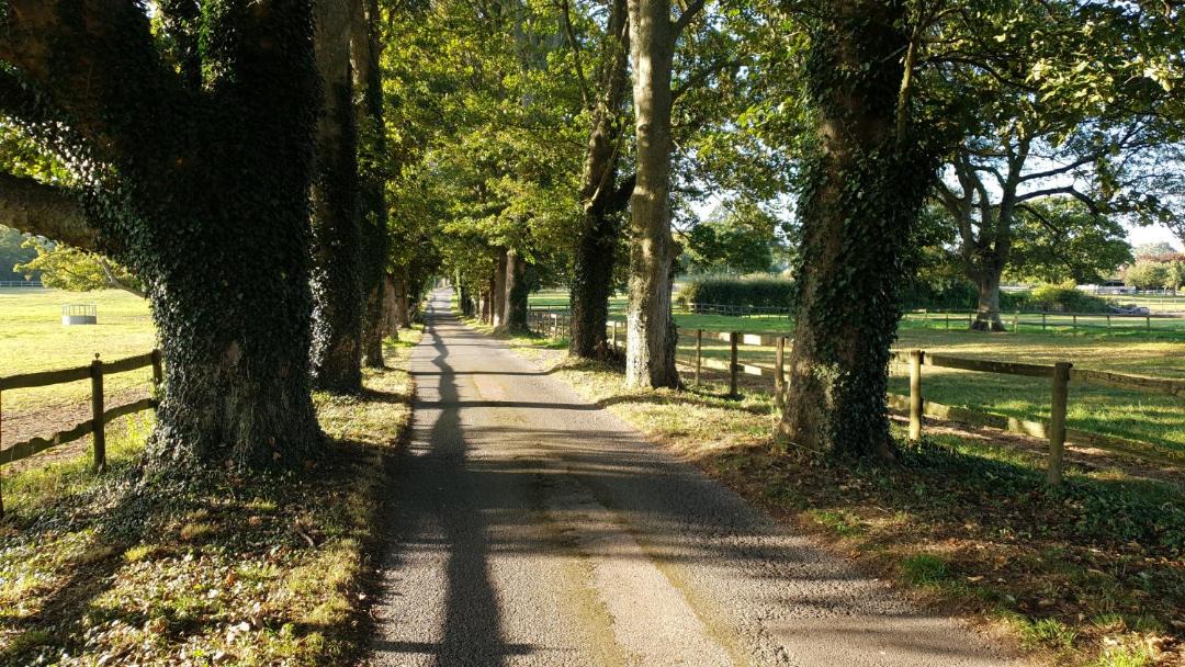 Photo of Others in Farnham