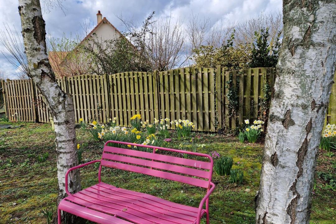 Photo of Others in Saint-Aubin-d'Arquenay