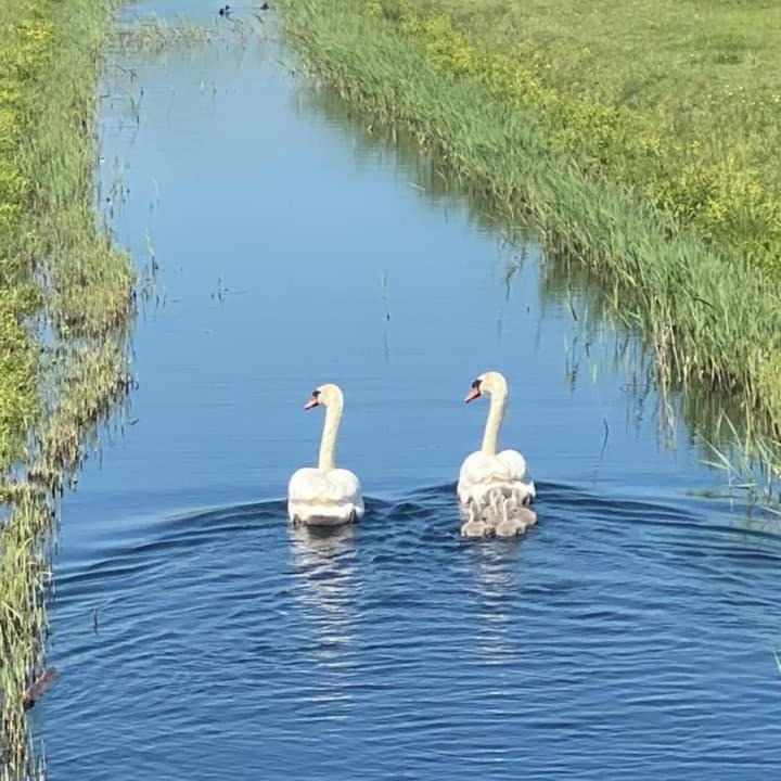 Photo of Others in Seasalter