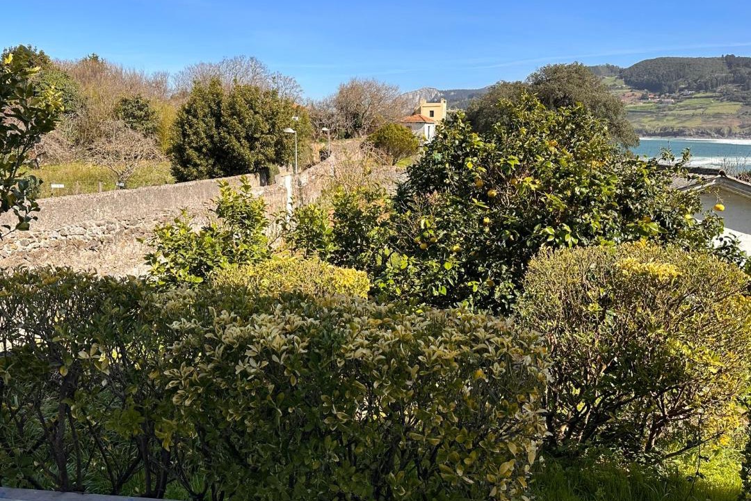 Photo of Outdoor in Mundaka