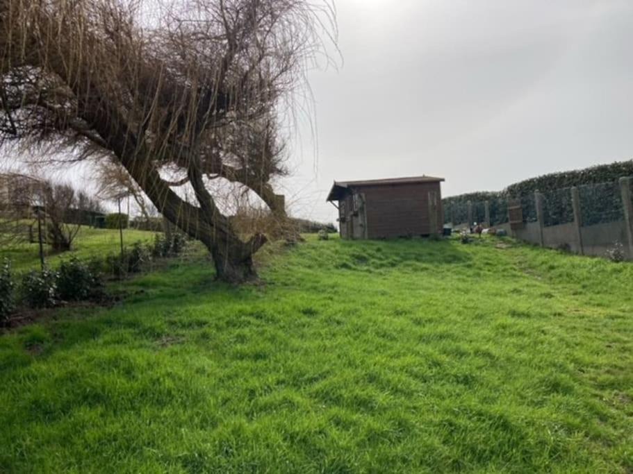 Photo of Others in Le Portel