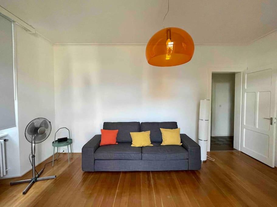 Photo of Livingroom in Minusio