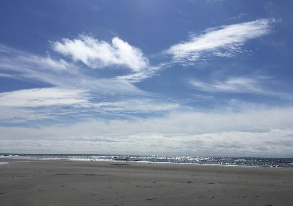 Photo of Outdoor in Ocean Park