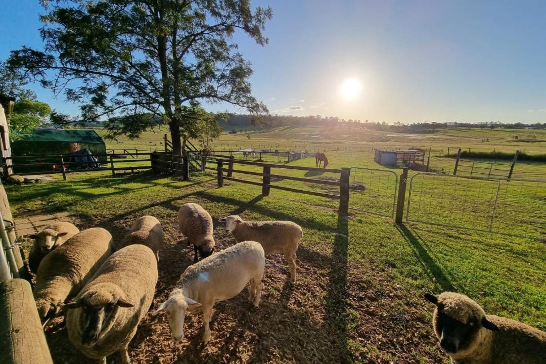 Photo of Others in Boyland