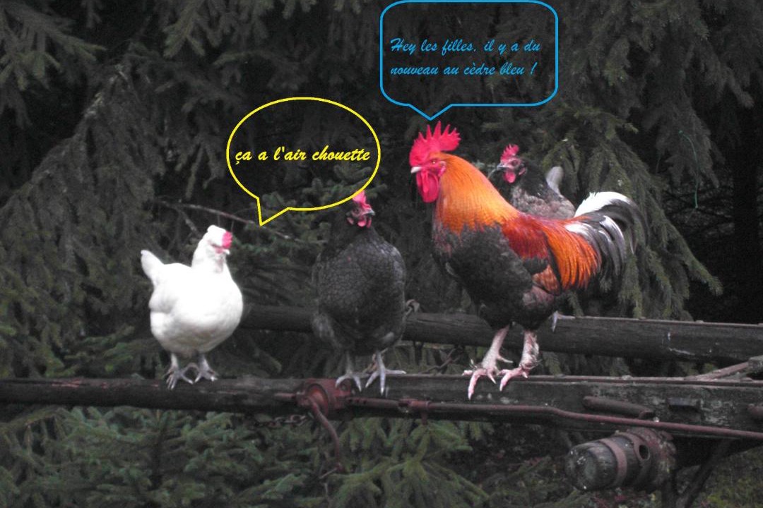Photo of Others in La Chapelle-sur-Loire