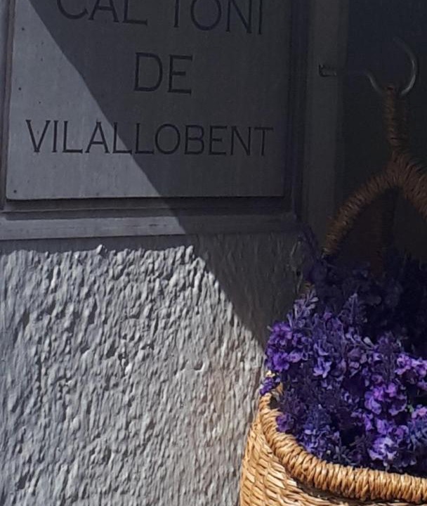 Photo of Others in Vilallobent