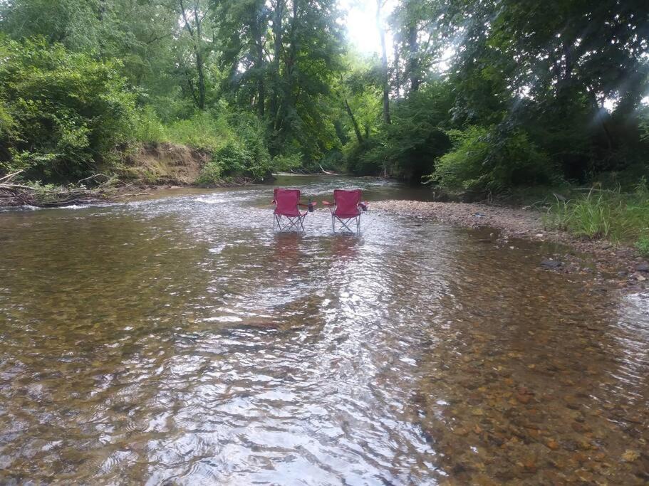Photo of Outdoor in Brevard