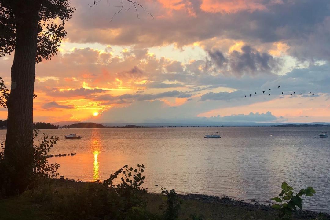 Photo of Others in Malletts Bay