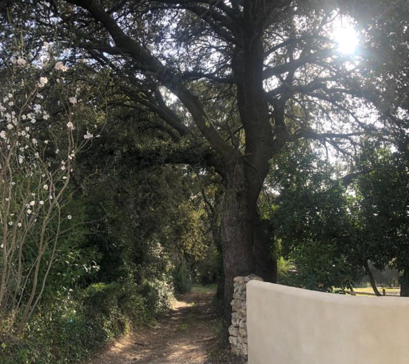 Photo of Others in Le Pouget