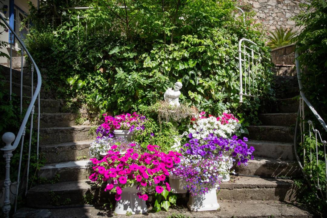 Photo of Others in Lodeve