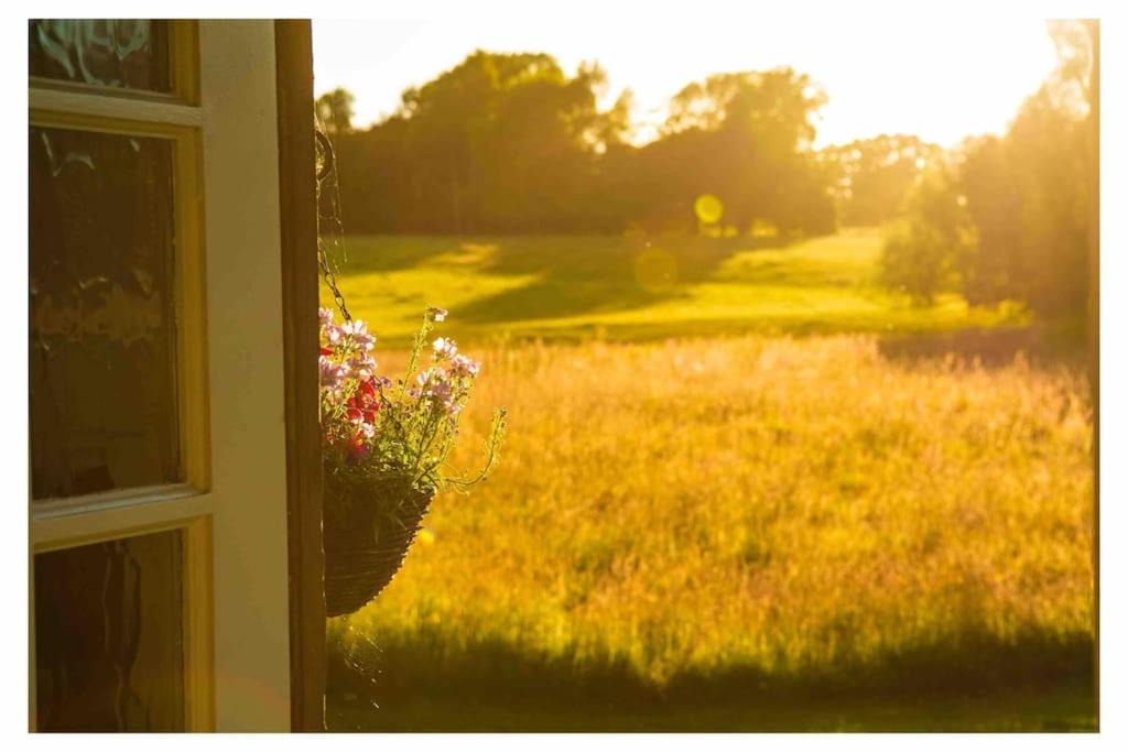 Photo of Others in Willesborough