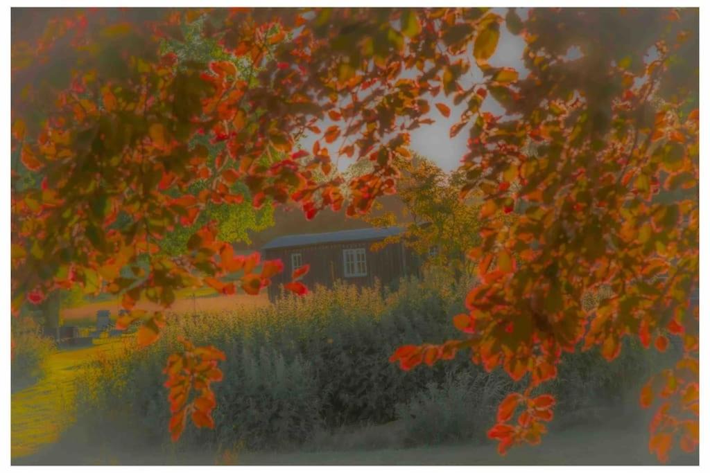 Photo of Others in Willesborough