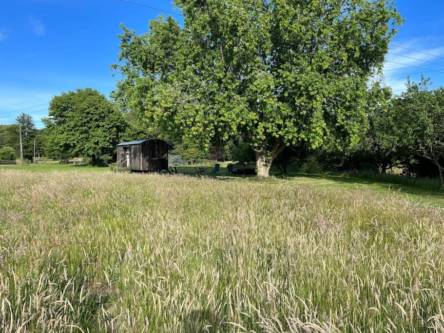 Photo of Others in Willesborough