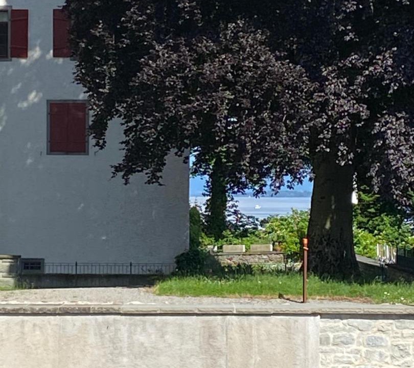 Photo of Others in Arbon