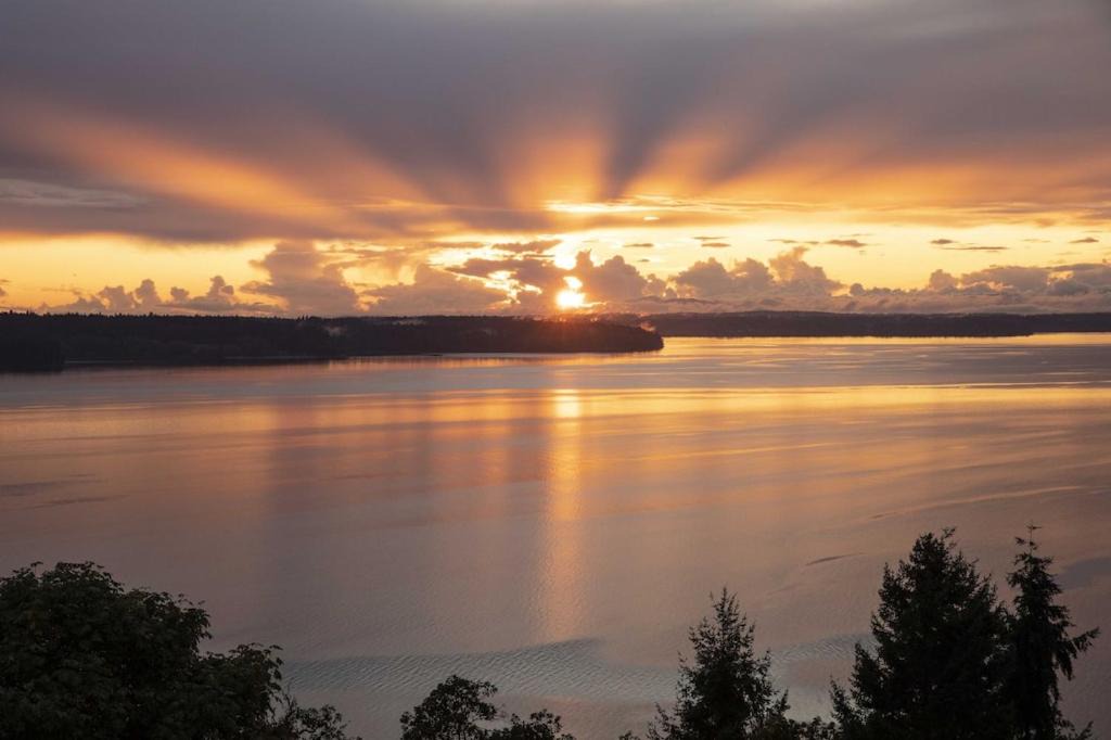 Photo of Others in Fox Island