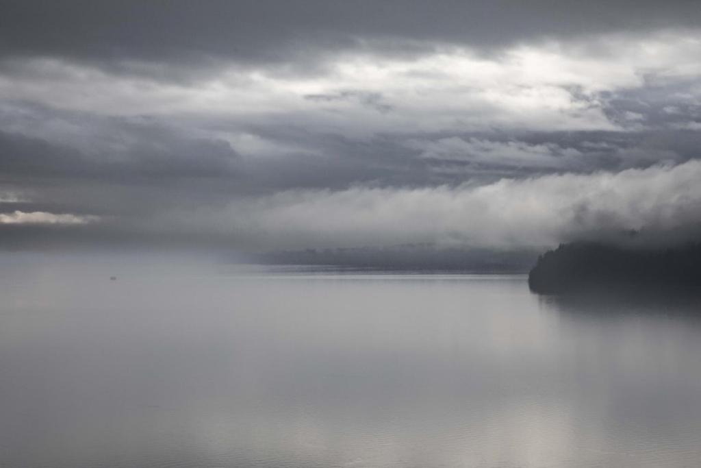 Photo of Others in Fox Island