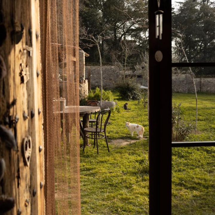 Photo of Others in Veinat de Penedes
