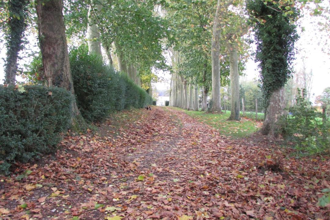 Photo of Others in Questrecques