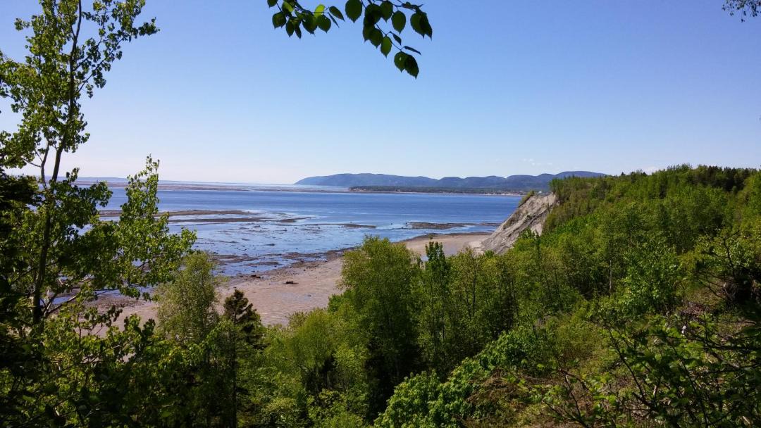 Photo of Others in Tadoussac