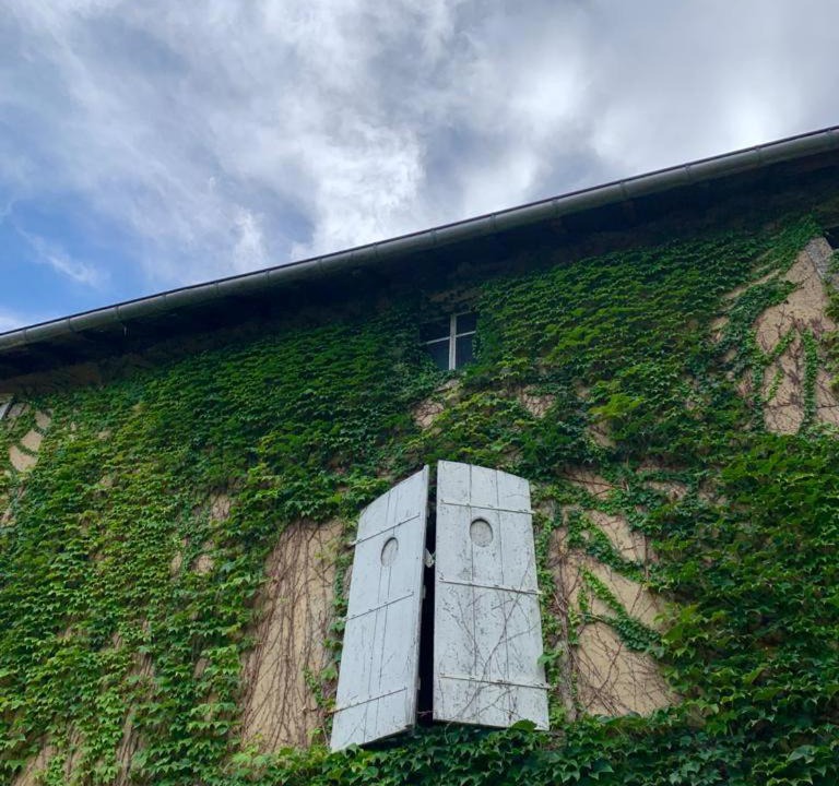 Photo of Buildings in Madonne-et-Lamerey