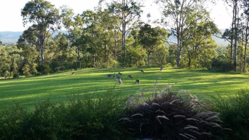 Photo of Others in Paxton