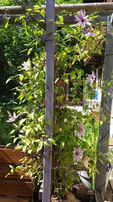 Photo of Others in Le Biot