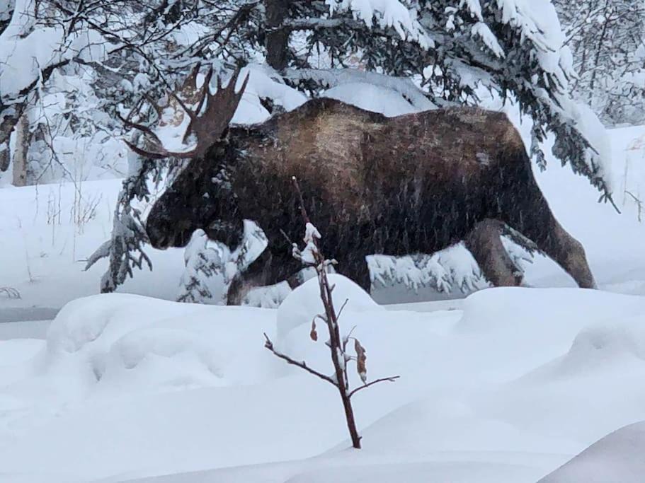 Photo of Others in Palmer