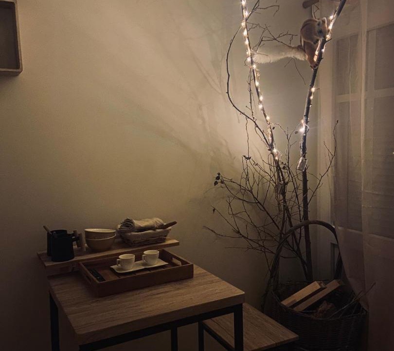 Photo of Others in Plancher-Bas