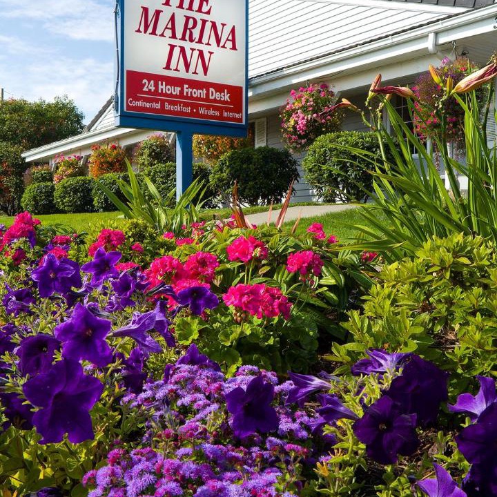 Photo of Others in Anacortes